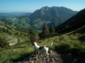 96 Oltre il Colle , Zambla, Passo di Zambla, Alben di fronte a noi...